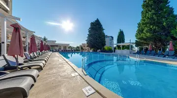 Detelina