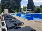 Detelina