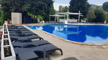 Detelina