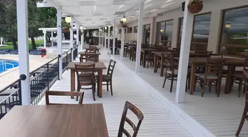 Detelina