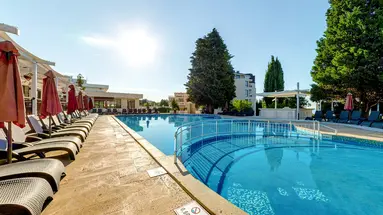 Detelina