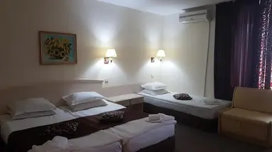 Detelina