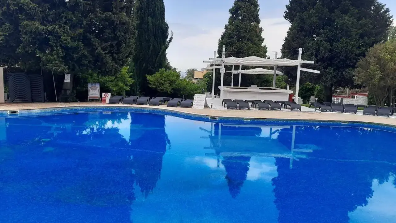 Detelina