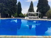 Detelina