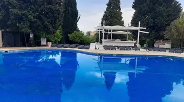 Detelina