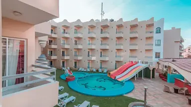 Dexon Roma