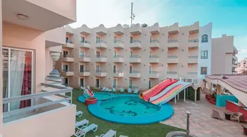 Dexon Roma