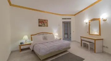 Dexon Roma