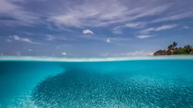 DHIGUFARU ISLAND RESORT