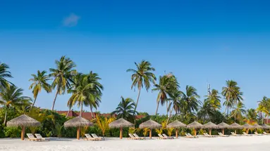 DHIGUFARU ISLAND RESORT