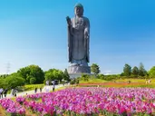 Diamentowym Szlakiem Japonii