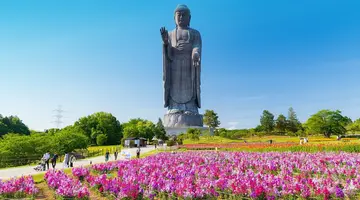 Diamentowym Szlakiem Japonii