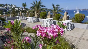 DIAMOND OF BODRUM