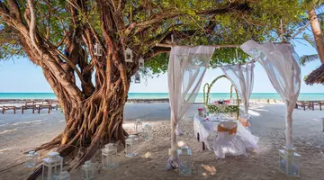 Diamonds Mapenzi Beach Club