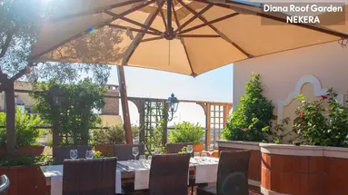 DIANA ROOF GARDEN