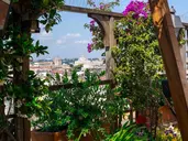 Diana Roof Garden