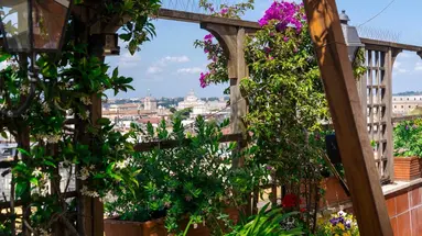 Diana Roof Garden