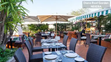 DIANA ROOF GARDEN