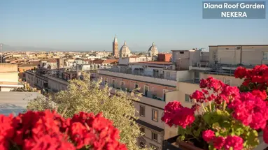 DIANA ROOF GARDEN