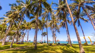 Diani Sea Lodge