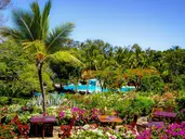 Diani Sea Resort
