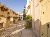 DIAR LEMDINA
