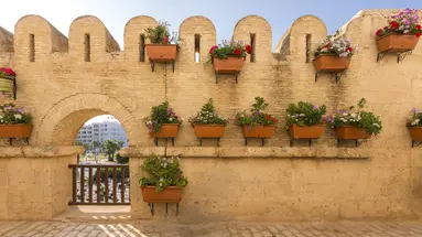 DIAR LEMDINA