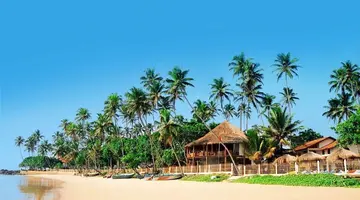 Dickwella Resort and Spa