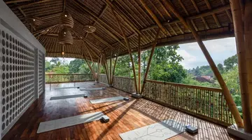 Dinara Ubud