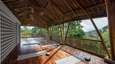 Dinara Ubud