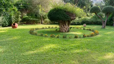 Dionysos Hotel
