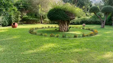 Dionysos Hotel