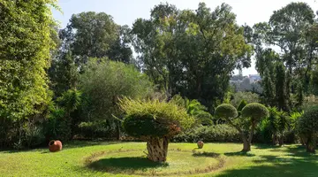 DIONYSOS