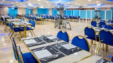 Diplomatic Servigroup