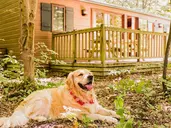 Disney Davy Crockett Ranch + bilety do Disneyland Paris