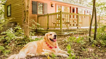 Disney Davy Crockett Ranch + bilety do Disneyland Paris