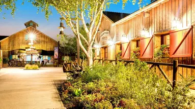 Disney Davy Crockett Ranch + bilety do Disneyland Paris