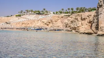 Dive Inn Resort