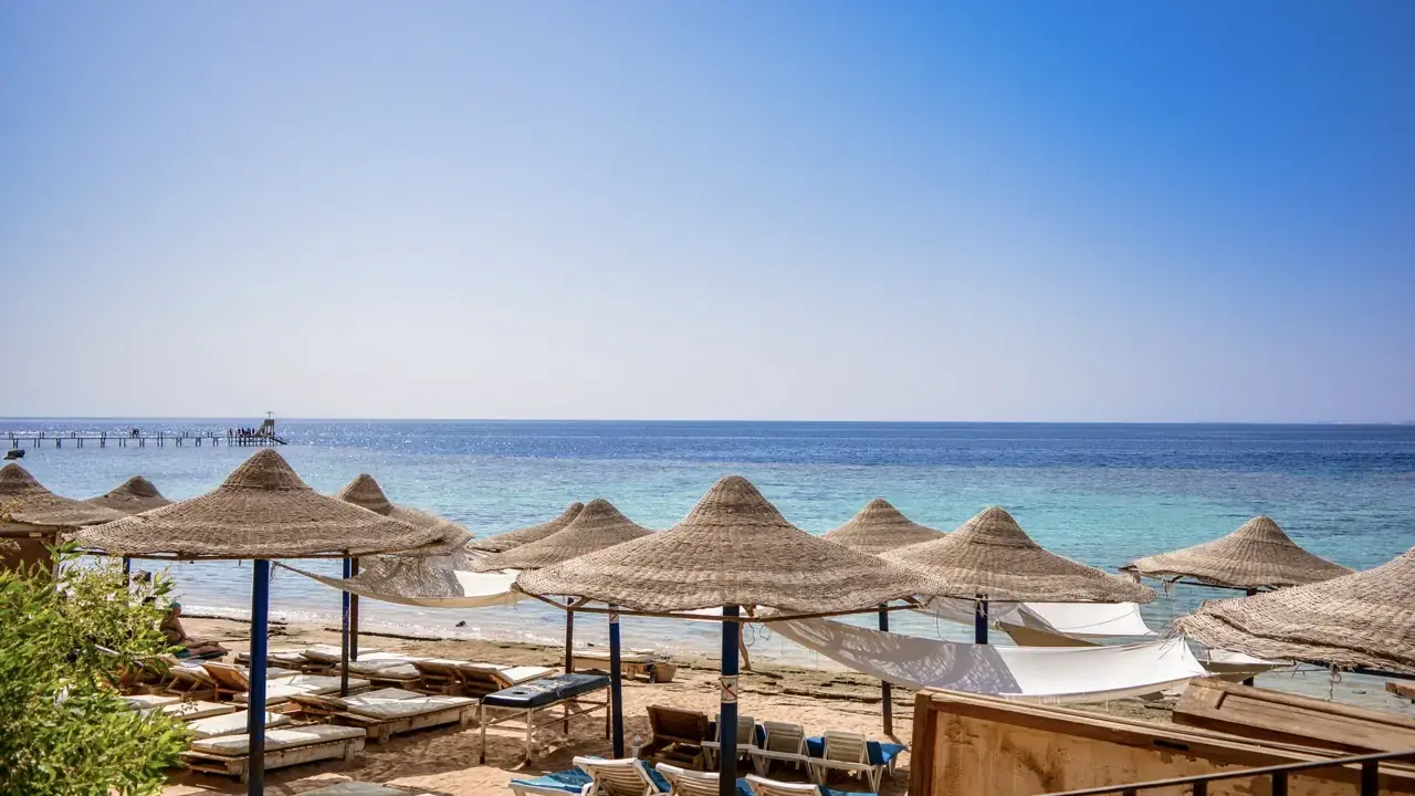 Dive Inn Resort
