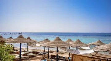 Dive Inn Resort