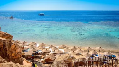 Dive Inn Resort