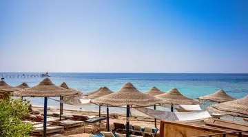 Dive Inn Resort