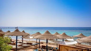 Dive Inn Resort