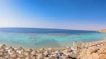 Dive Inn Resort