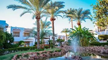 Dive Inn Resort