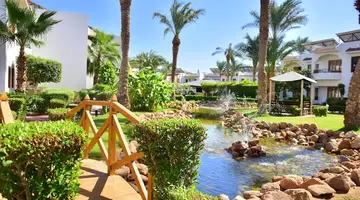 Dive Inn Resort