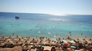 Dive Inn Resort