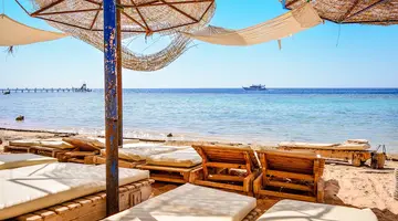 Dive Inn Resort