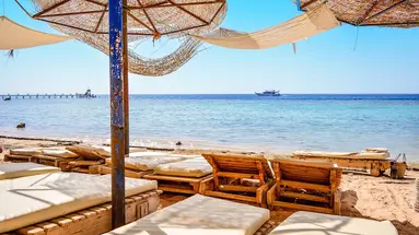 Dive Inn Resort
