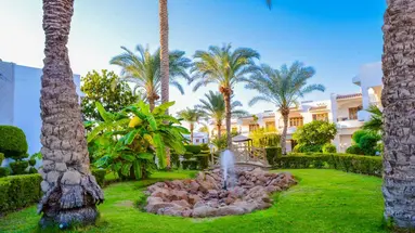 Dive Inn Resort
